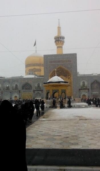 عکس نوشته امام رضا ممنونم