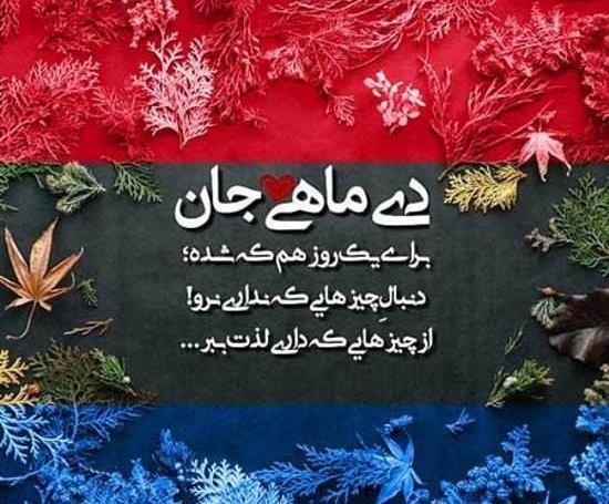عکس نوشته دی ماهی مغرور