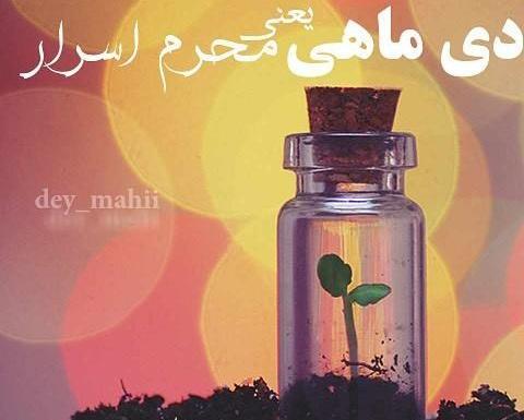 عکس نوشته دی ماهی مغرور