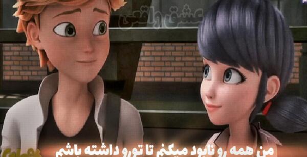 عکس روباه قرمز و پشت لاک