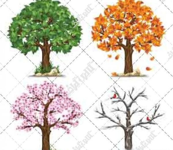 عکس نقاشی کودکانه چهار فصل