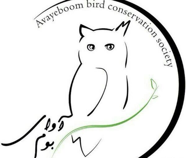 عکس قلب گنجشک