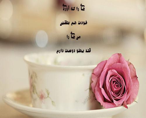 عکس گل با نوشته زیبا برای پروفایل
