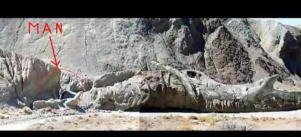 عکس اسکلت اژدها