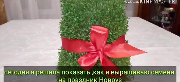 عکس سبزه عید با جو