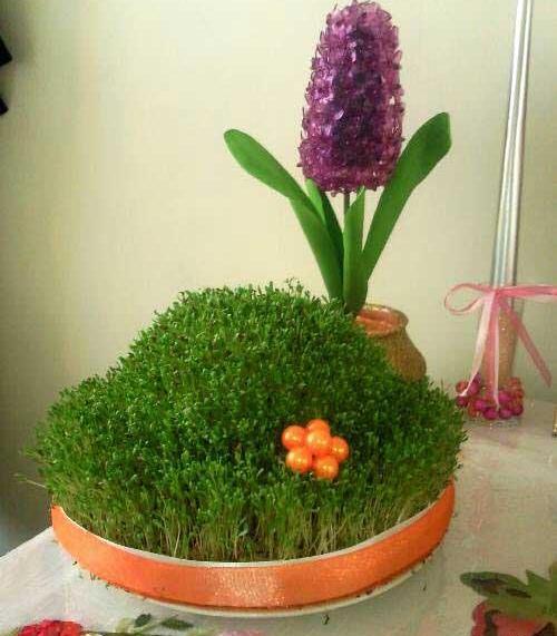 عکس سبزه عید با جو