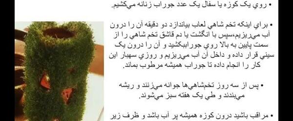 عکس سبزه عید با جو