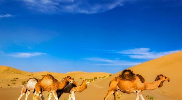 عکس جاهای دیدنی ورزنه