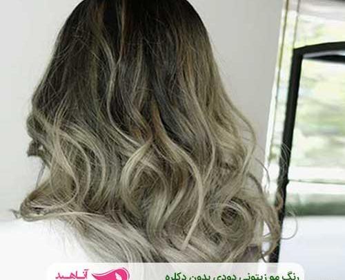 عکس رنگ دودی زیتونی