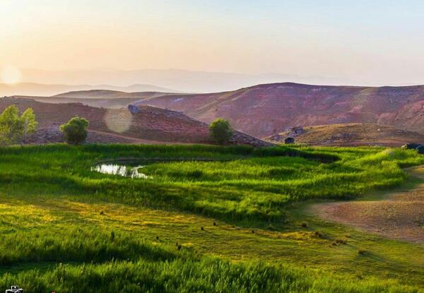 عکس بهاره فیضی