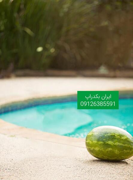 عکس بک گراند هندوانه