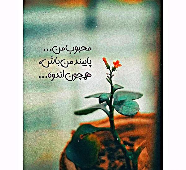 عکس نوشته همیشه آنلاین ترین ها تنهاترند