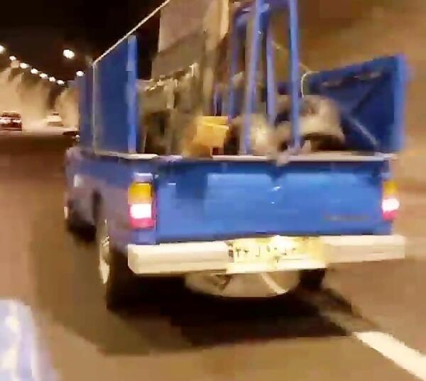 عکس نیسان وحشی