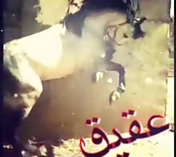 عکس اسب انسیاتور