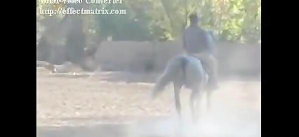 عکس اسب انسیاتور