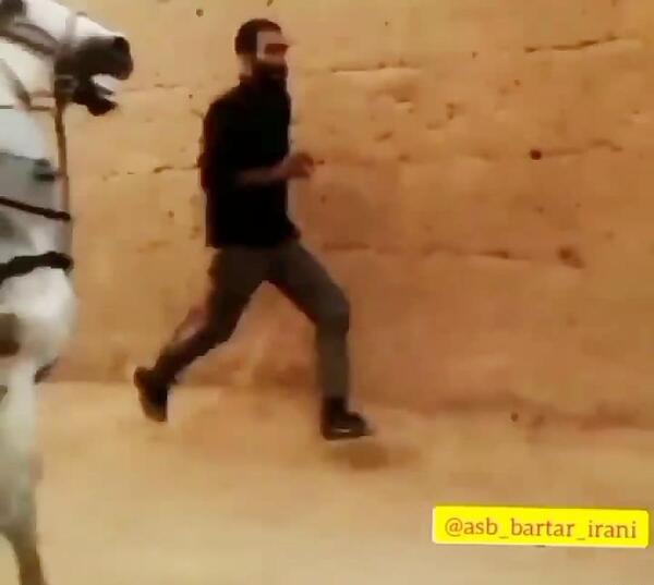 عکس اسب انسیاتور