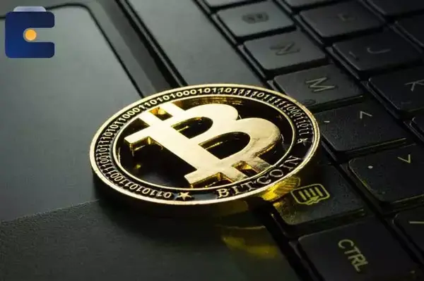 عکس والت بیت کوین