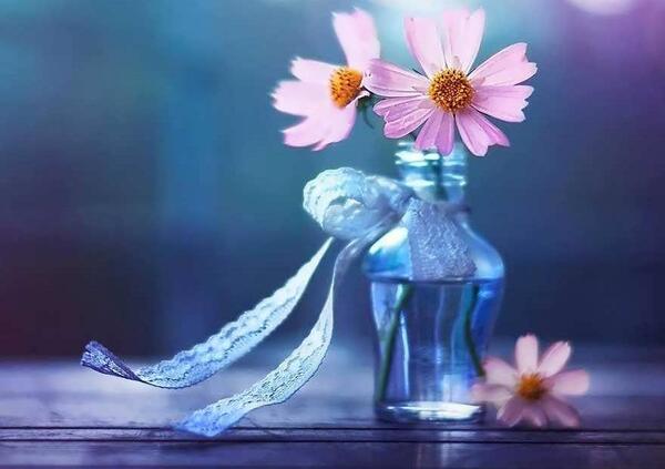 دانلود عکس پروفایل آرایشگری