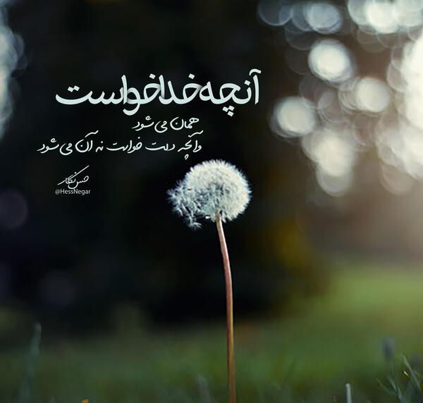 عکس گل نوشته خدایا شکرت