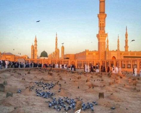 عکس png آیکون لوگو تلگرام