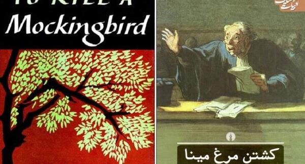 عکس ریویو