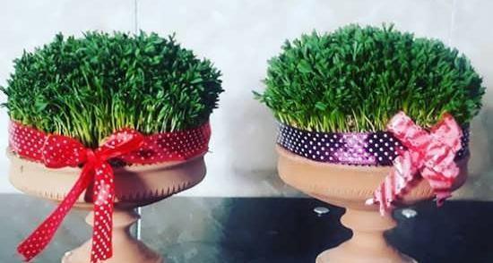 عکس سبزه عید با ماش