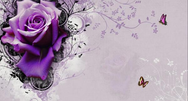 عکس پس زمینه شیک و خاص پروانه