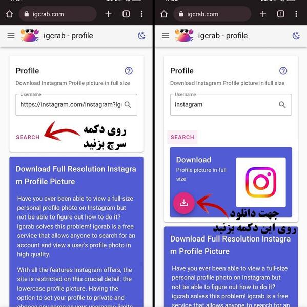 ربات برای دانلود عکس پروفایل اینستاگرام