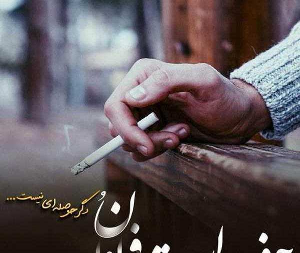 عکس نوشته شاخ طعنه دار