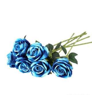 عکس گل رز آبی فیروزه ای