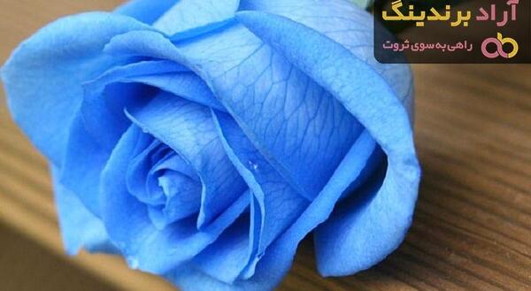 عکس گل رز آبی فیروزه ای