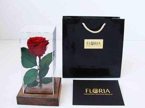 عکس گل رز آبی فیروزه ای