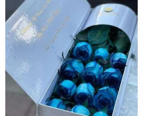 عکس گل رز آبی فیروزه ای