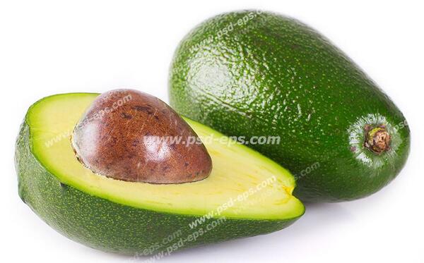 عکس میوه آووکادو