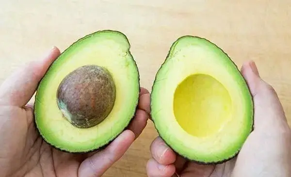 عکس میوه آووکادو