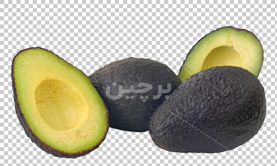عکس میوه آووکادو