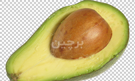 عکس میوه آووکادو
