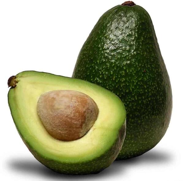 عکس میوه آووکادو