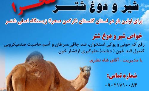 عکس شتر مایه