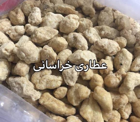 عکس شتر مایه