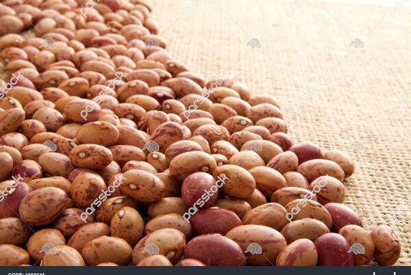 عکس سبزه لوبیا چیتی