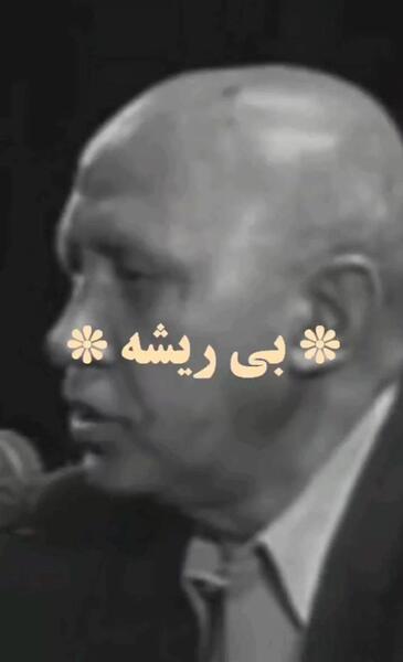عکس قلب و مغز انسان