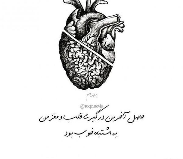 عکس قلب و مغز انسان
