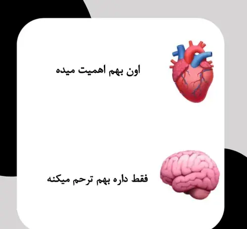 عکس قلب و مغز انسان