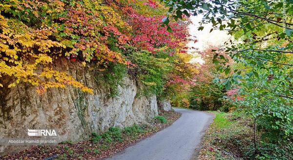 عکس طبیعت زیبای پاییز