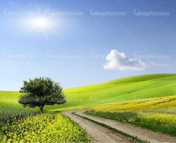 عکس سگ وحشی اسباب بازی