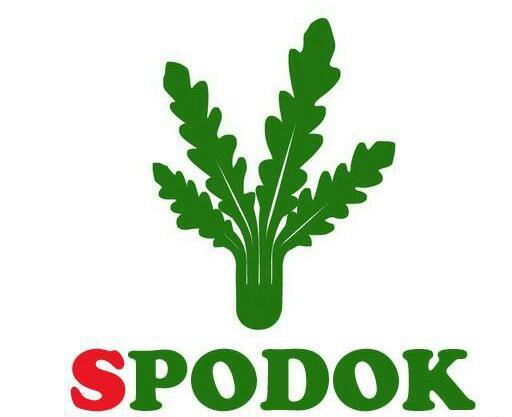 عکس کیف مدرسه دخترانه السا و آنا