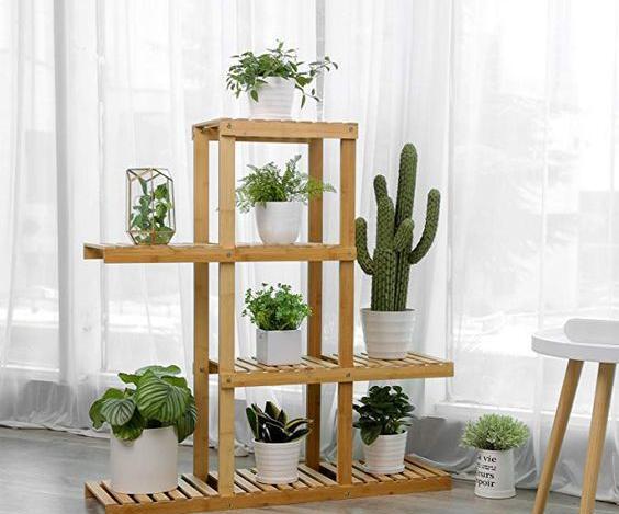 عکس گل طبیعی برای طراحی