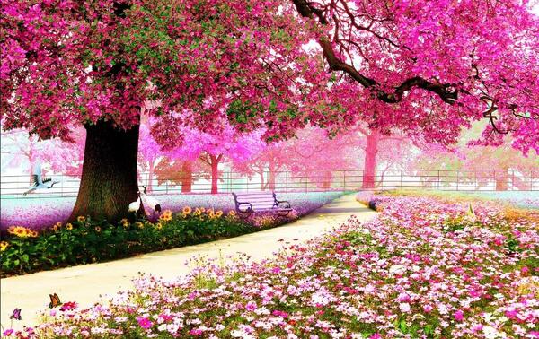 عکس شکوفه پارچه ای