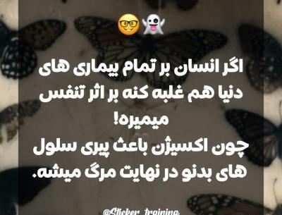 عکس باب اسفنجی انسانی